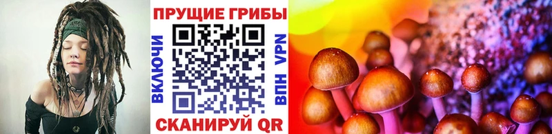 Галлюциногенные грибы Cubensis  мега вход  Давлеканово 