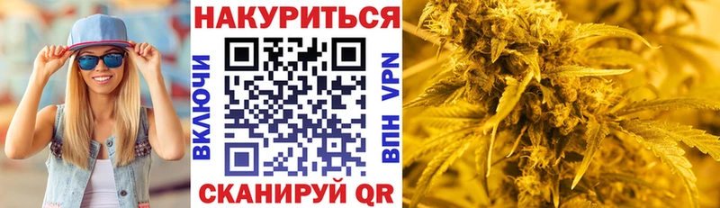 как найти закладки  ссылка на мегу ССЫЛКА  мориарти наркотические препараты  Давлеканово  Каннабис White Widow 